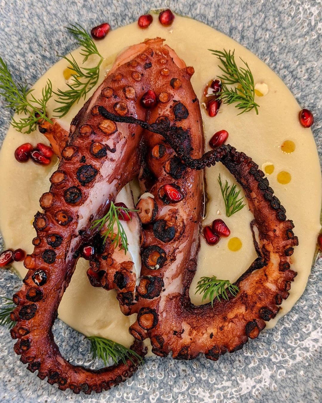 Grilled octopus