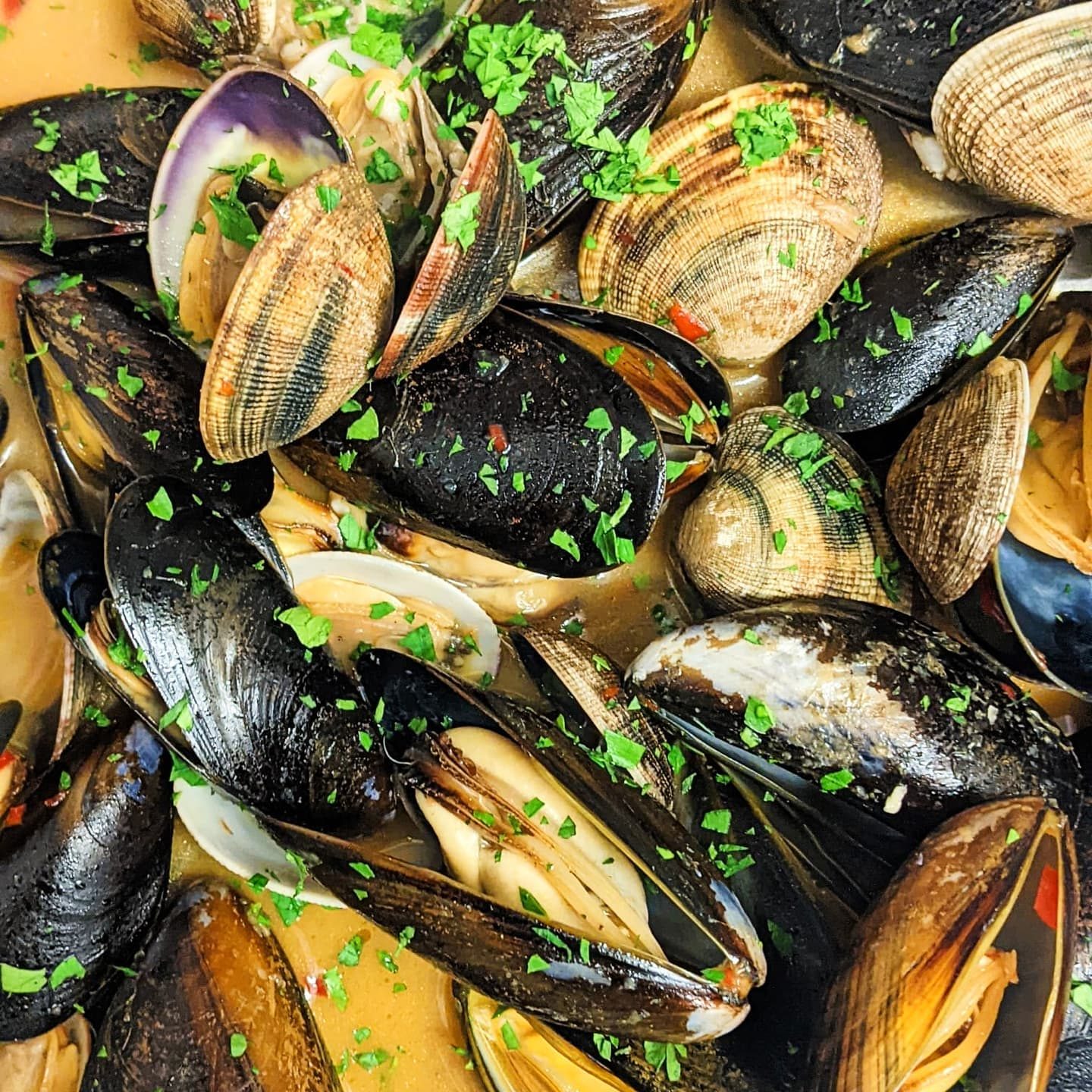 Mussels and clams